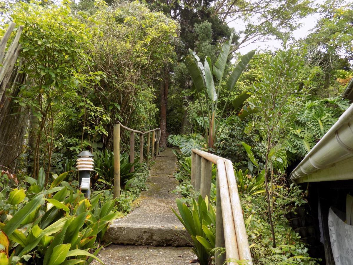 Protea Guest House Knysna Exteriör bild
