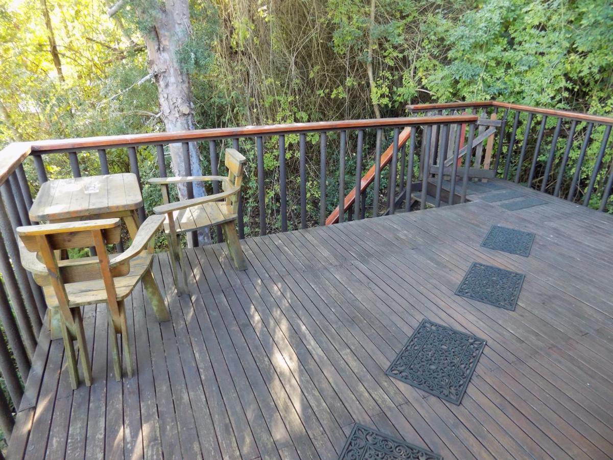Protea Guest House Knysna Exteriör bild