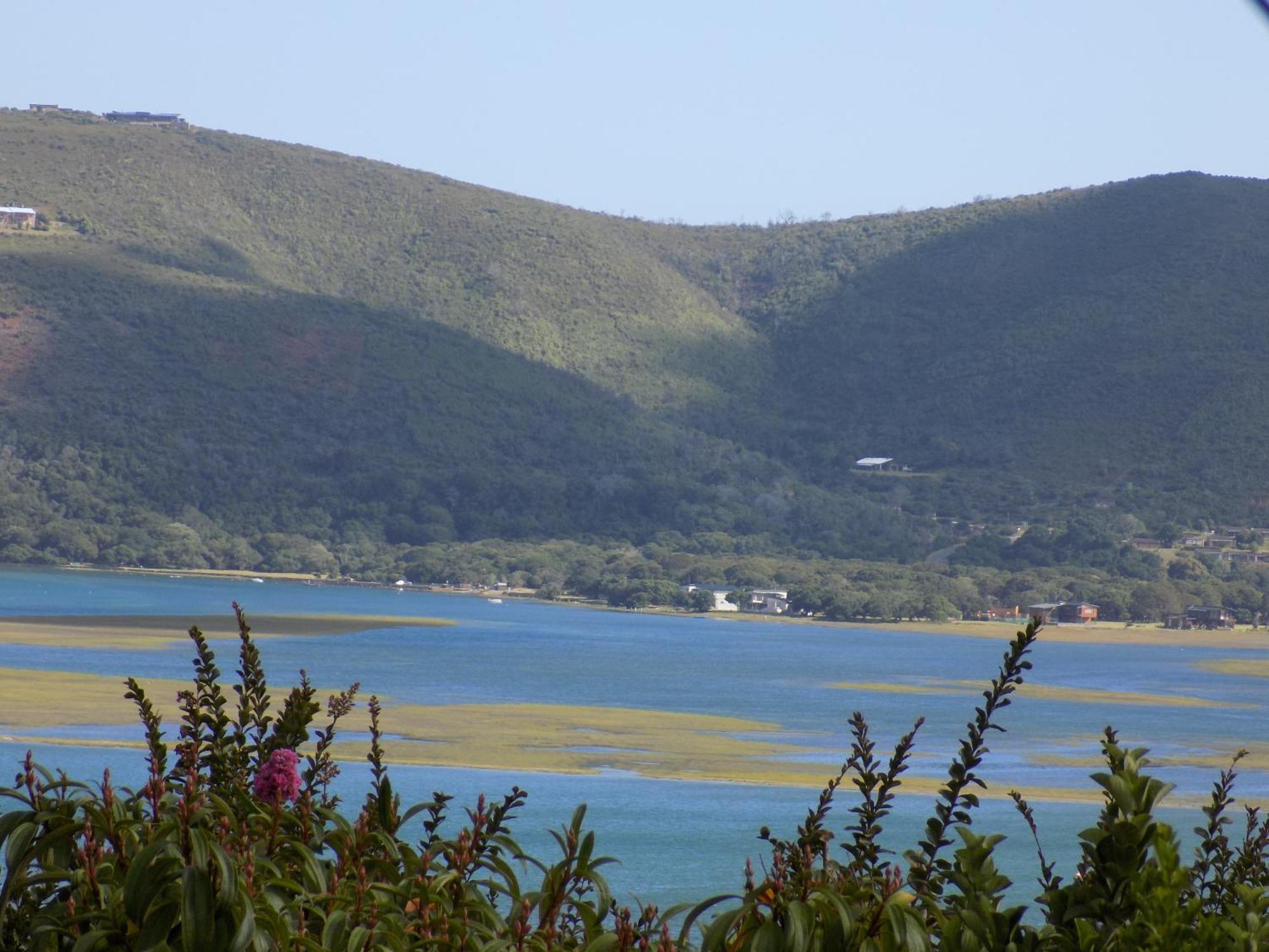 Protea Guest House Knysna Rum bild