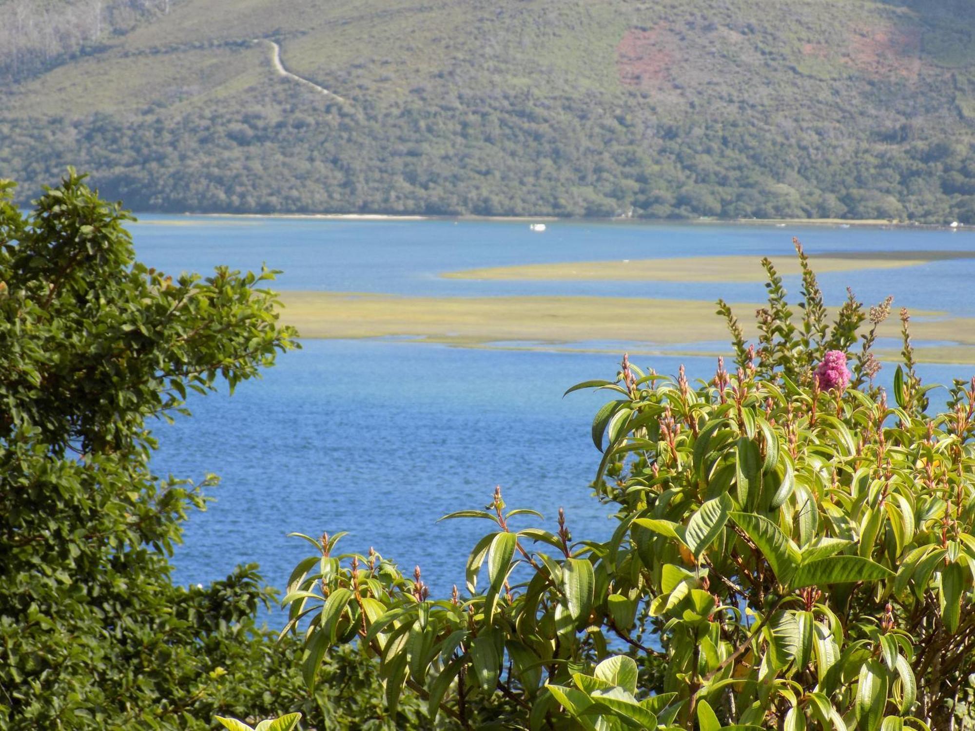 Protea Guest House Knysna Rum bild
